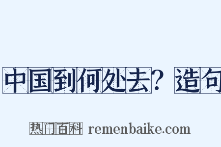 中国到何处去？造句是什么意思的图片